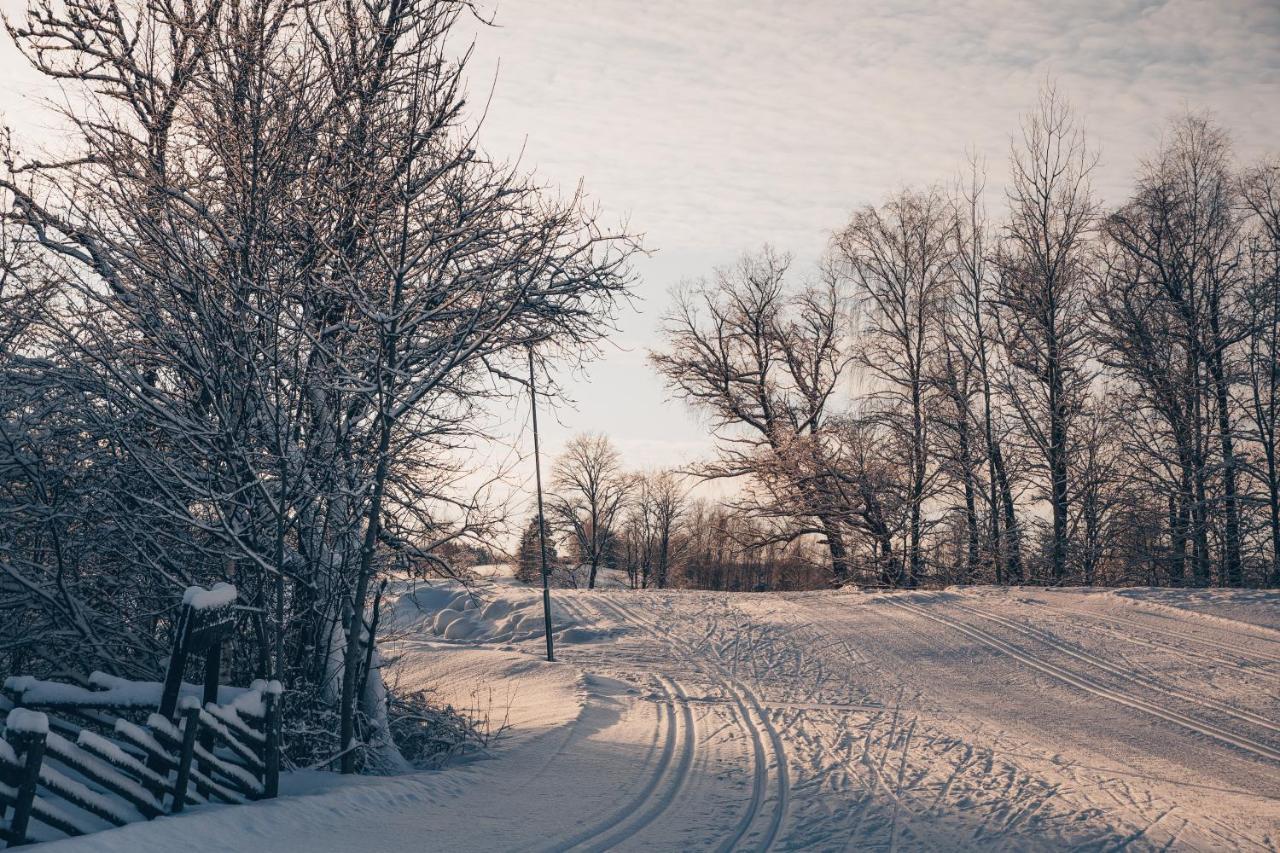 Nuustakumajad Villa Otepää Buitenkant foto